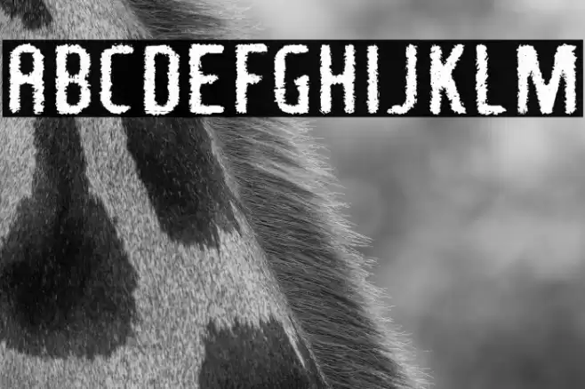 FragileBombersDown-Regular Font examples