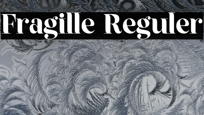 Fragille Reguler Example 1