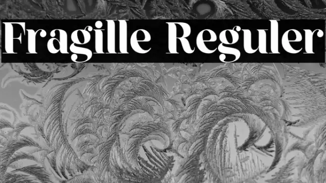 Fragille Reguler Font examples