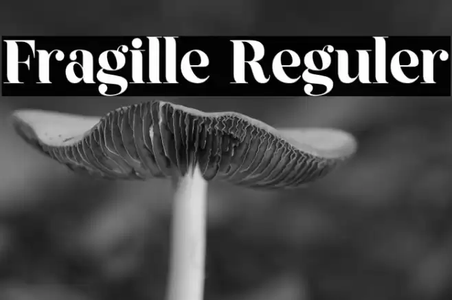 Fragille Reguler Font examples
