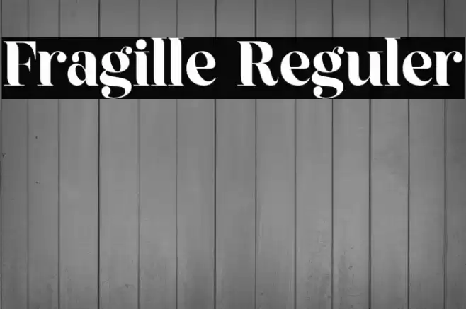 Fragille Reguler Font examples
