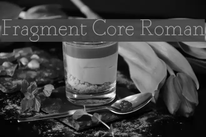 Fragment Core Roman Font examples