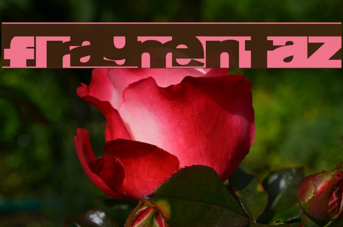 FragmentAZ Example 1