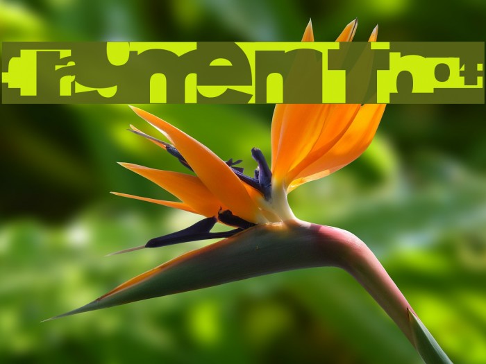 FragmentBO4 Font examples
