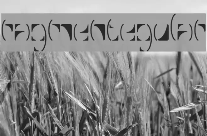 FragmentRegular Font examples