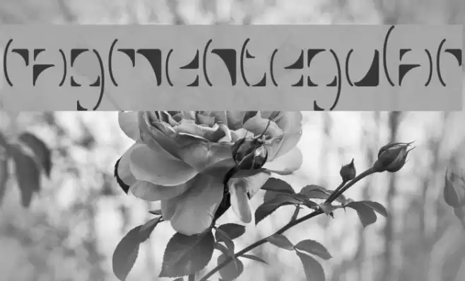 FragmentRegular Font examples