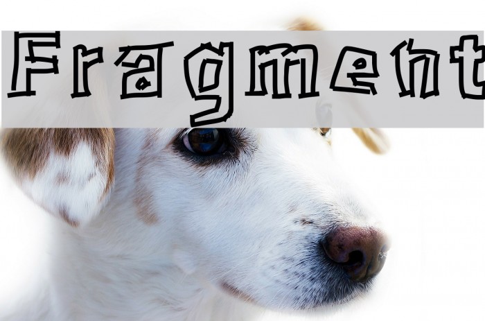 Fragment Font examples