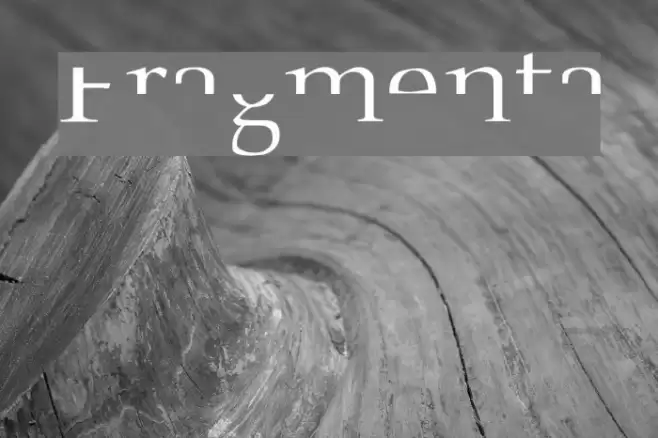 Fragmenta Font examples