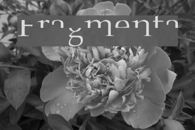 Fragmenta Font examples