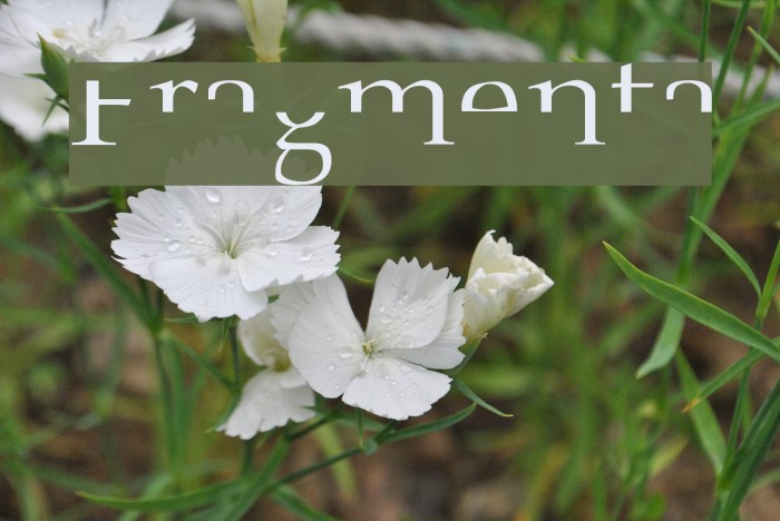 Fragmenta Font examples