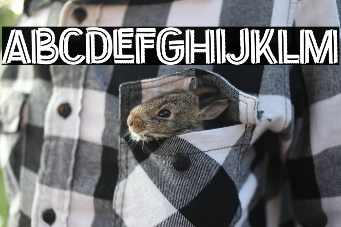 Fragmented Example 1