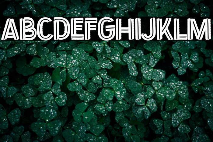 Fragmented Example 3