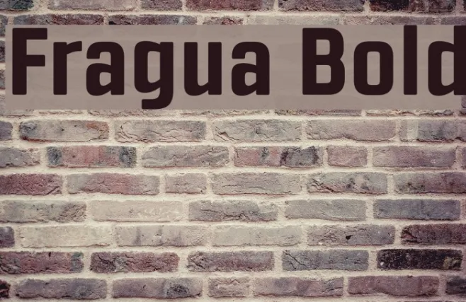 Fragua Bold Example 3