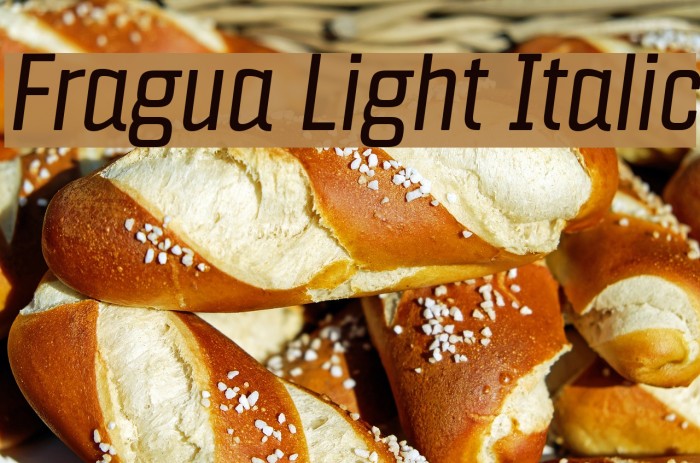 Fragua Light Italic Font examples