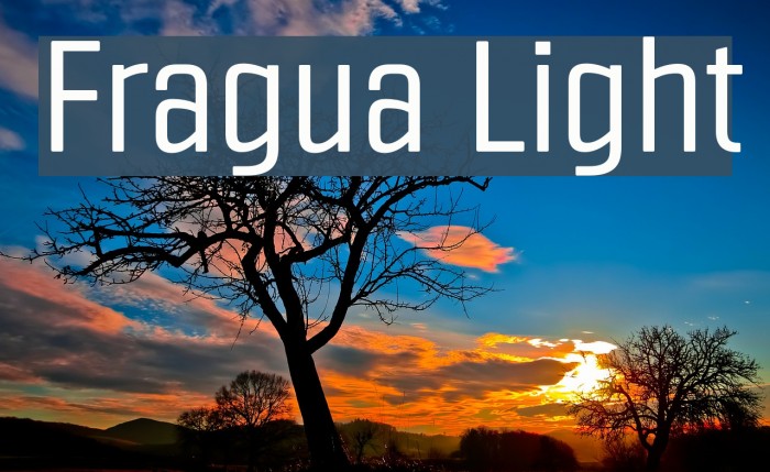 Fragua Light Font examples