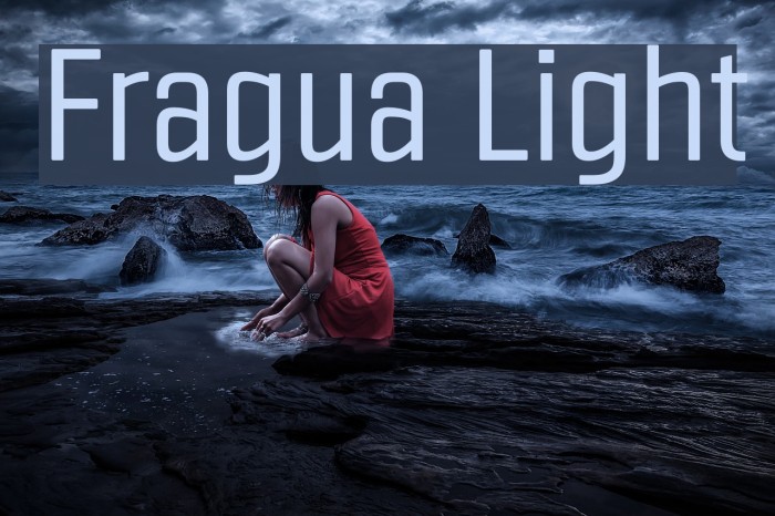 Fragua Light Font examples