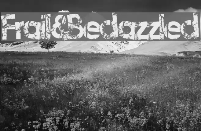 Frail&Bedazzled Font examples
