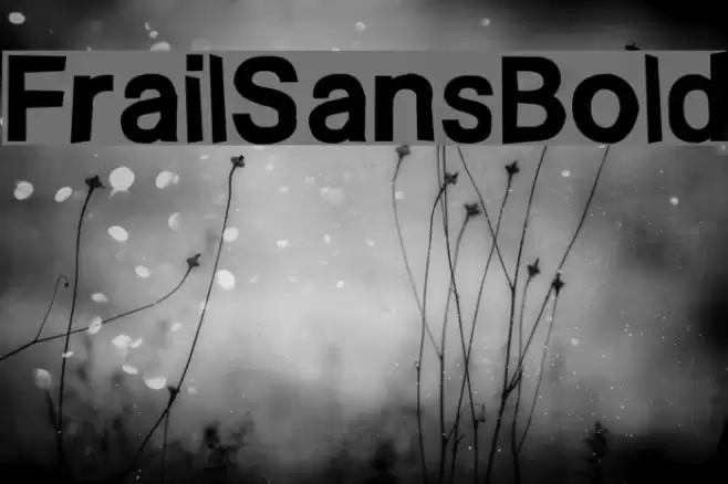 FrailSansBold Font examples