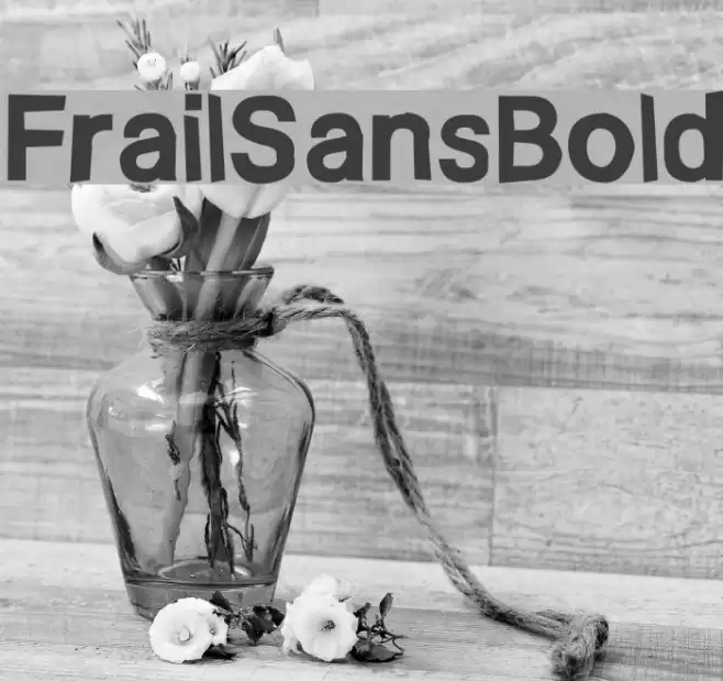 FrailSansBold Font examples