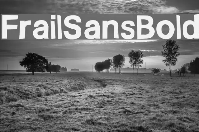 FrailSansBold Font examples