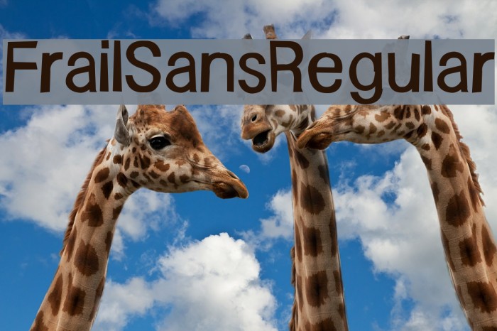 FrailSansRegular Font examples