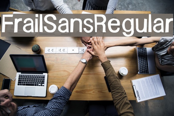 FrailSansRegular Font examples