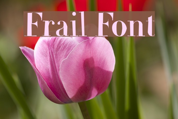 Frail Font examples