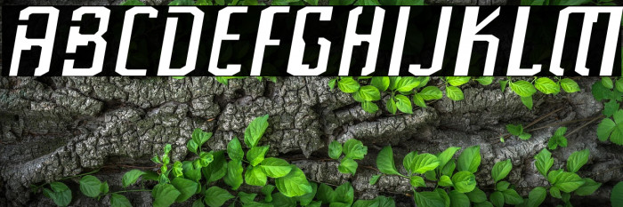 Frak-Regular Example 1