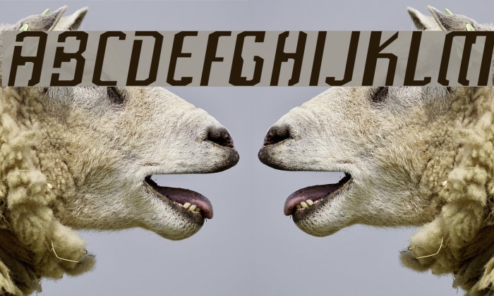Frak Font examples