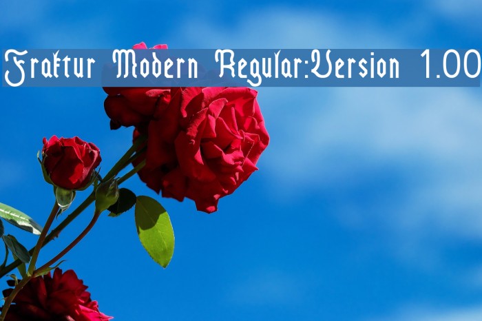 Fraktur Modern Regular:Version 1.00 Polices examples