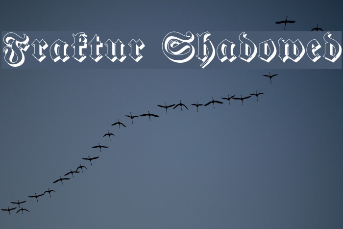 Fraktur Shadowed Font examples