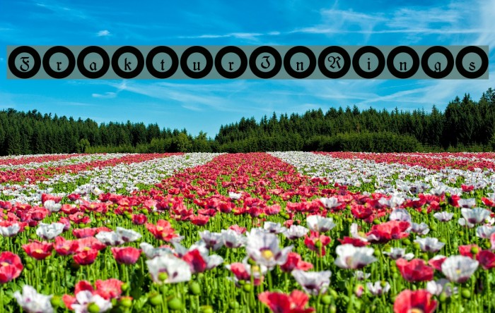 FrakturInRings Font examples