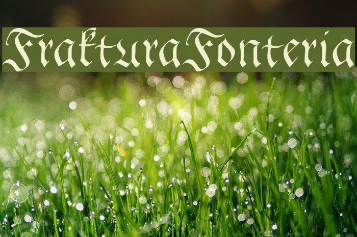 FrakturaFonteria Example 1