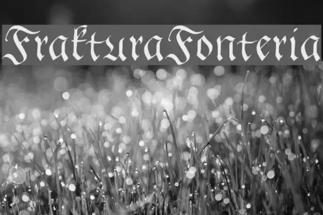 FrakturaFonteria Font examples