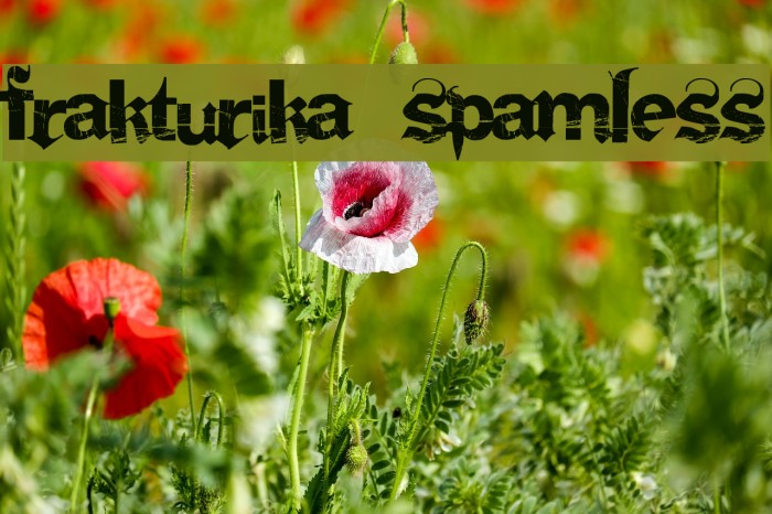 Frakturika Spamless Font examples