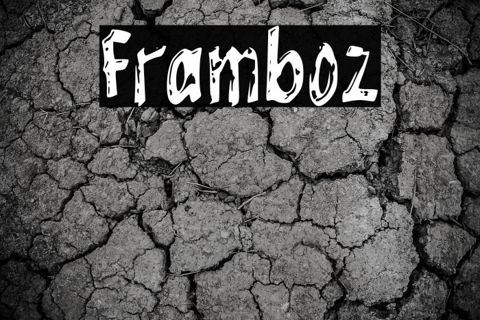 Framboz Example 1