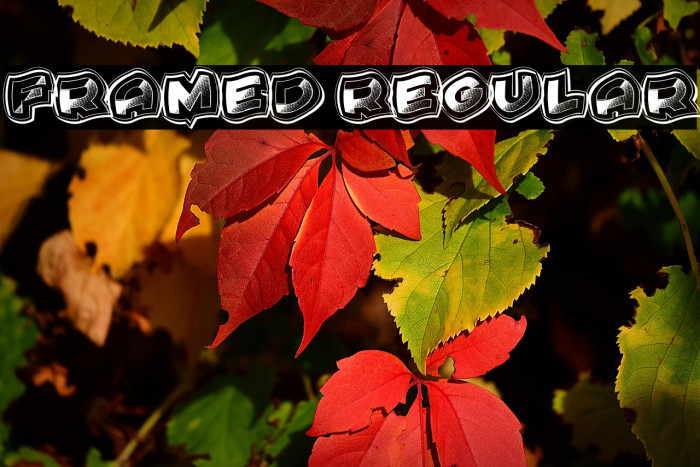 Framed Regular Example 2