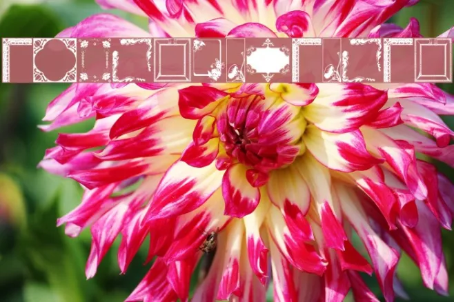 FramesAndBorders Example 2
