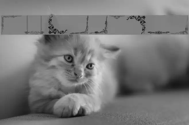 FramesAnd Font examples