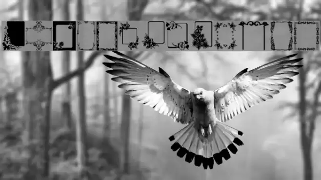 Frames Font examples