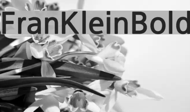FranKleinBold Font examples
