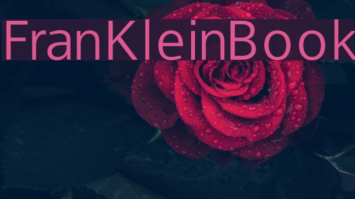 FranKleinBook Font examples