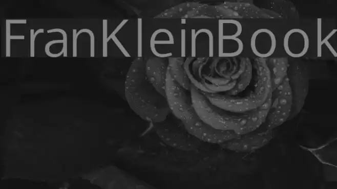 FranKleinBook フォント examples