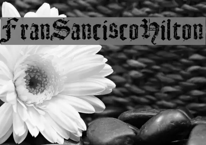 FranSanciscoHilton Schriftart examples