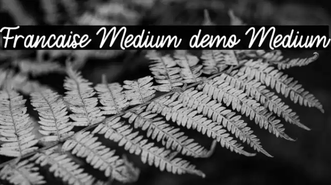 Francaise Medium demo Medium Font examples