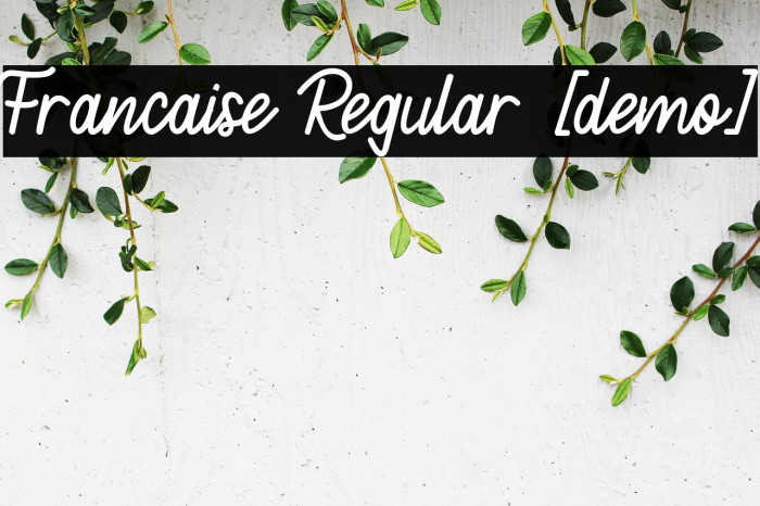 Francaise Regular [demo] Example 3