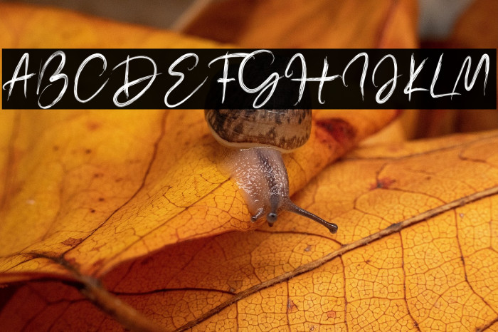 France Juice  Example 2