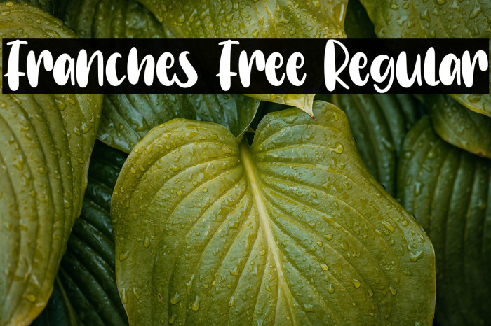 Franches Free Regular Example 2