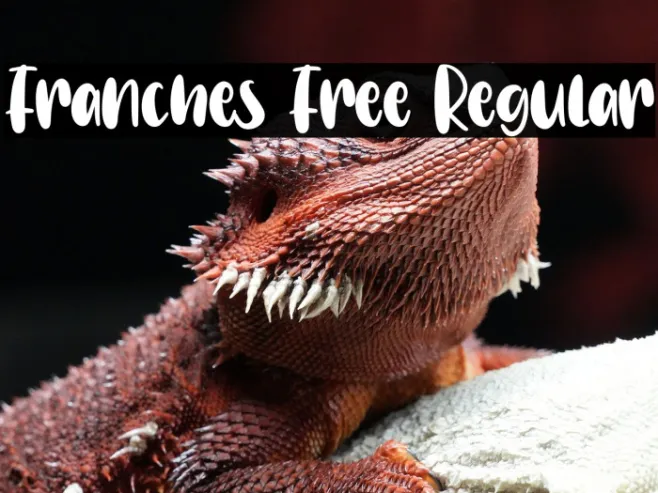 Franches Free Regular Example 3