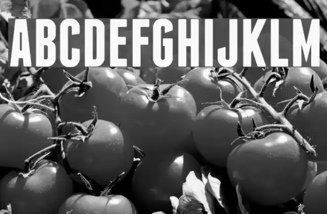 Franchise Bold Font examples